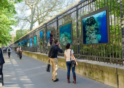 Exposition récifs coralliens Unesco Paris